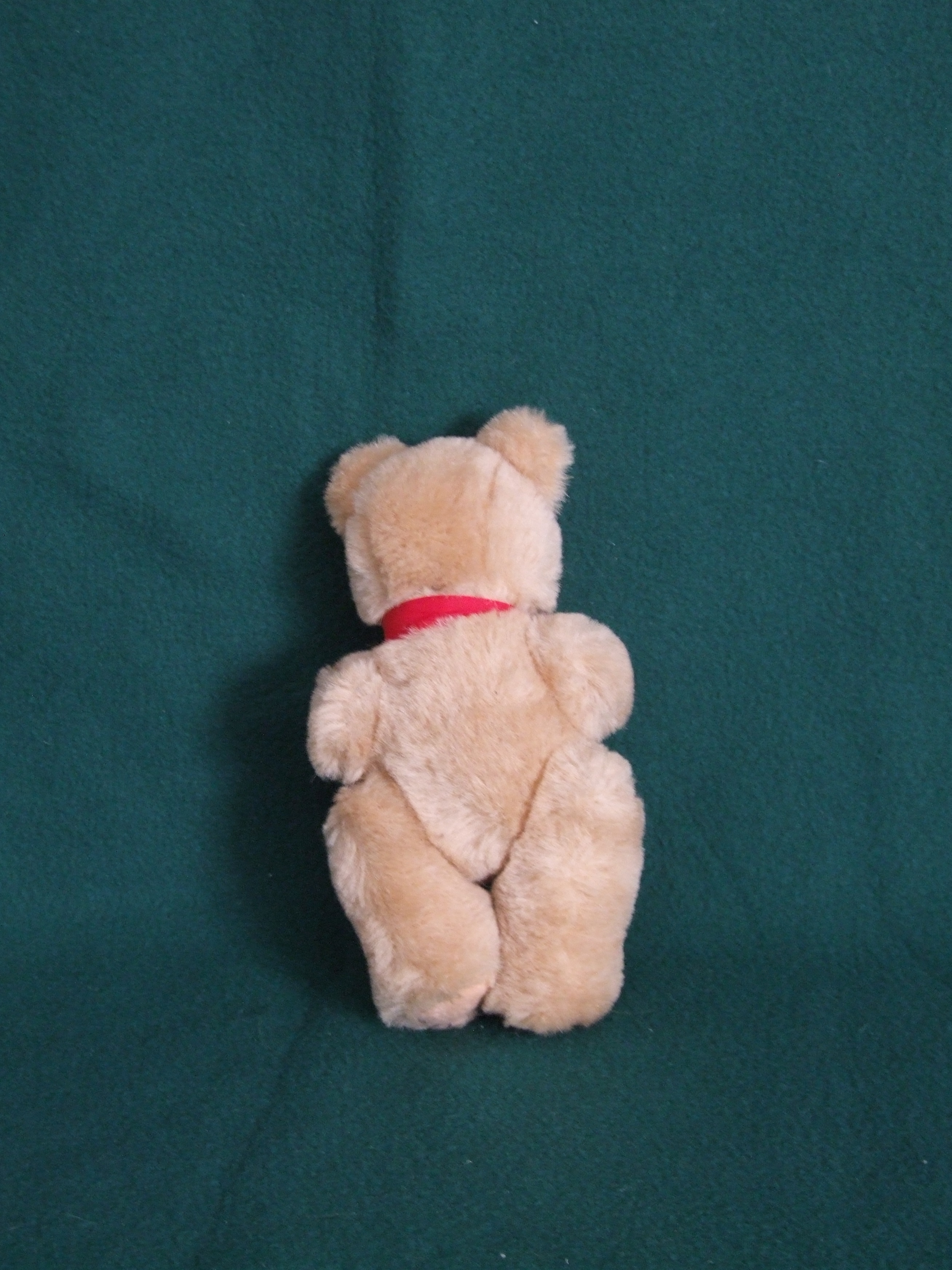 teddy bear bow