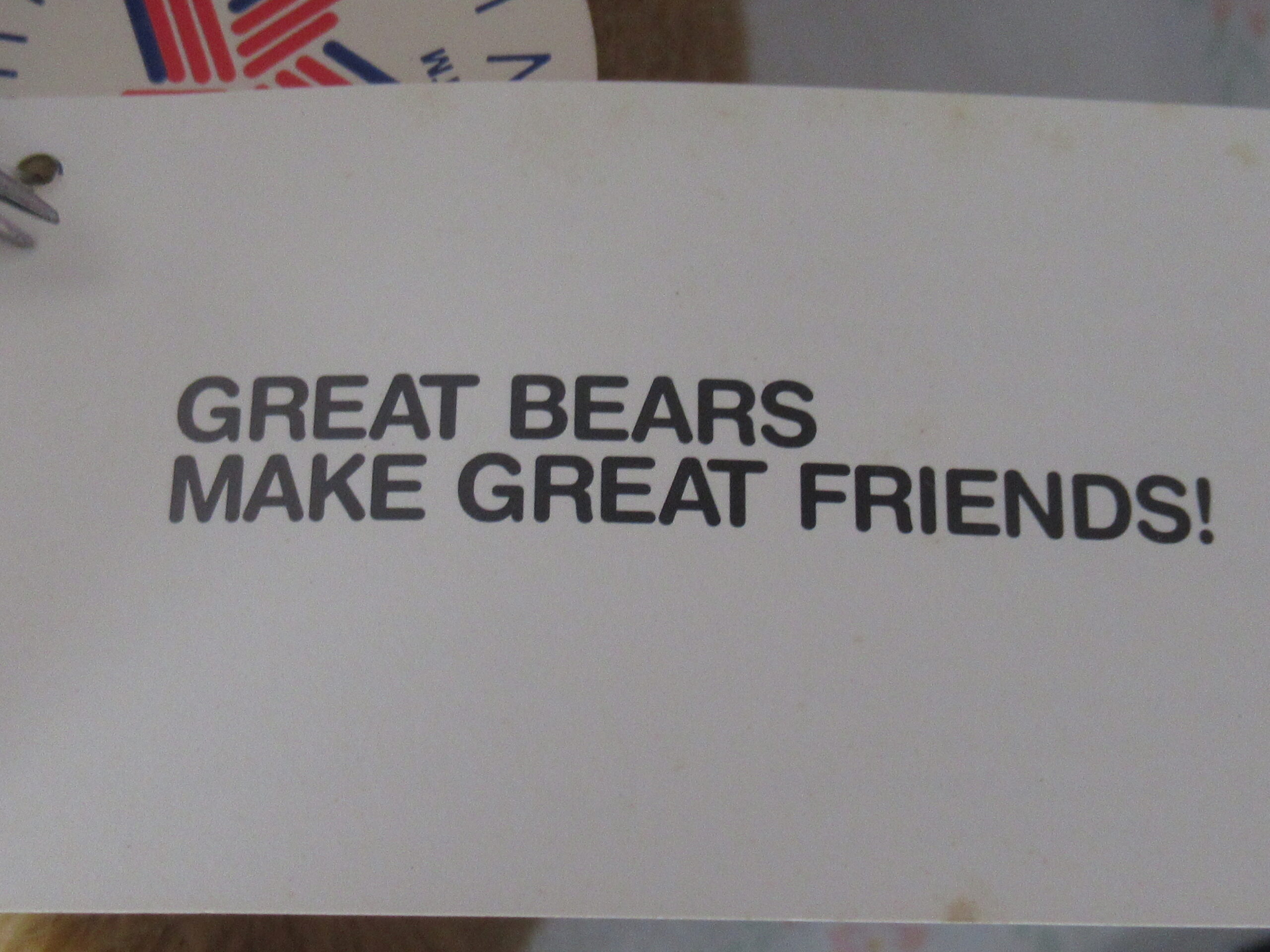 Vermont Teddy Bear - Happy Birthday 1991- Limited Edition - Image 10