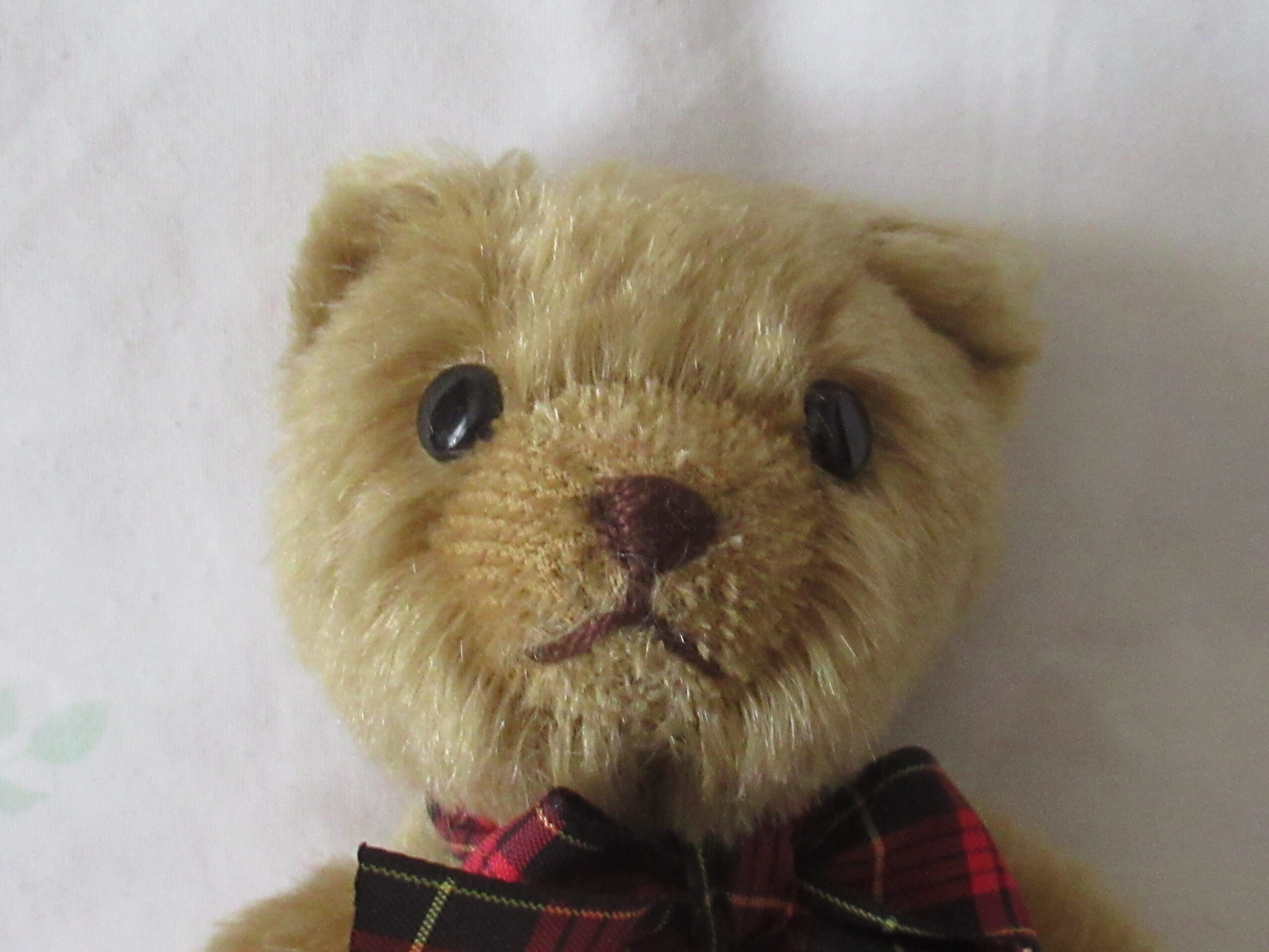 Gund Collectors Club 1999 - 8 Inch Mohair Teddy Bear - Image 6