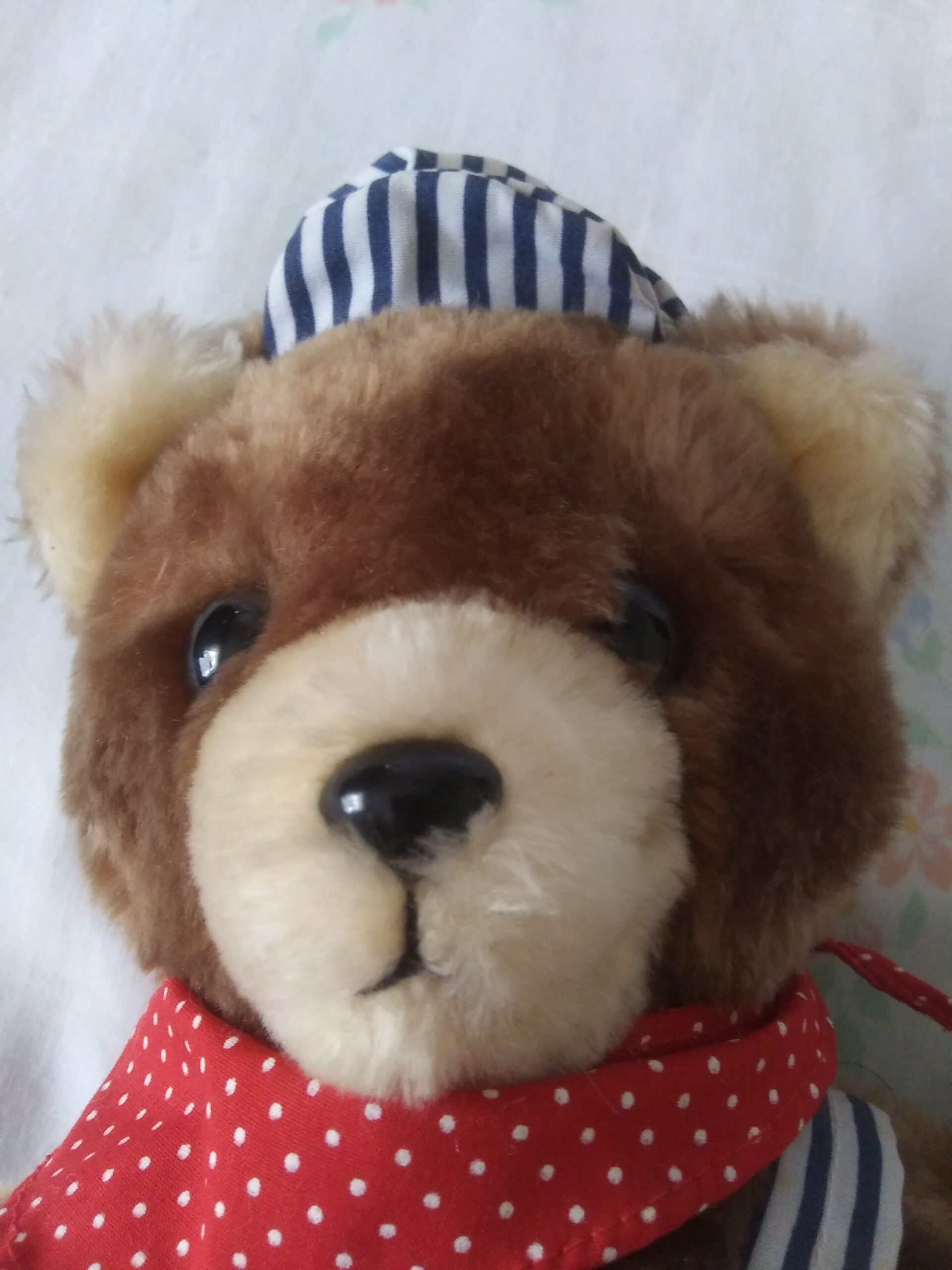 Dakin Bean Bags - Stras Bear With Cap and Overalls - Image 2