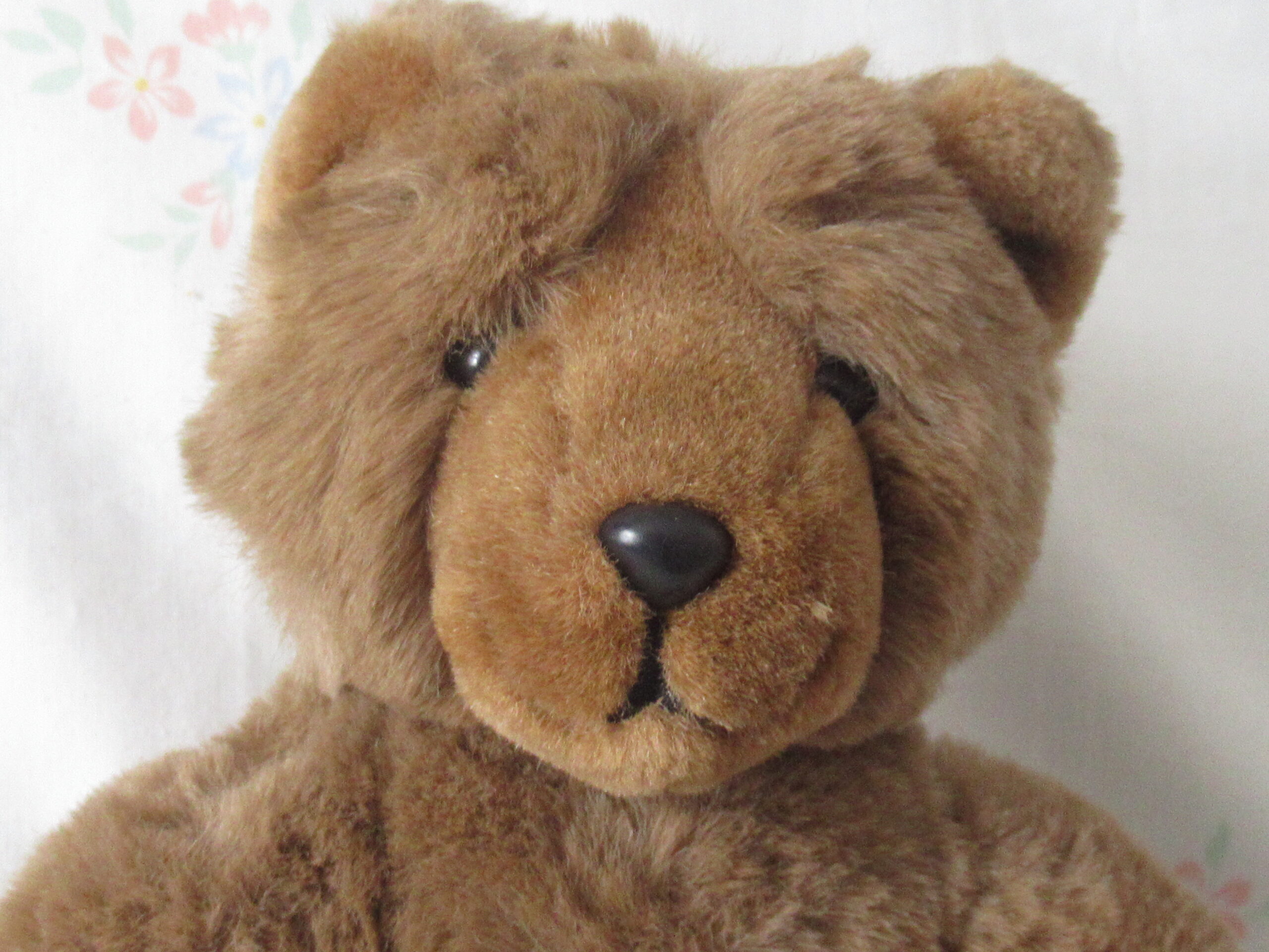 Lot of 2 Bears - Trudy Bear and Heartline Cuddles - Image 3