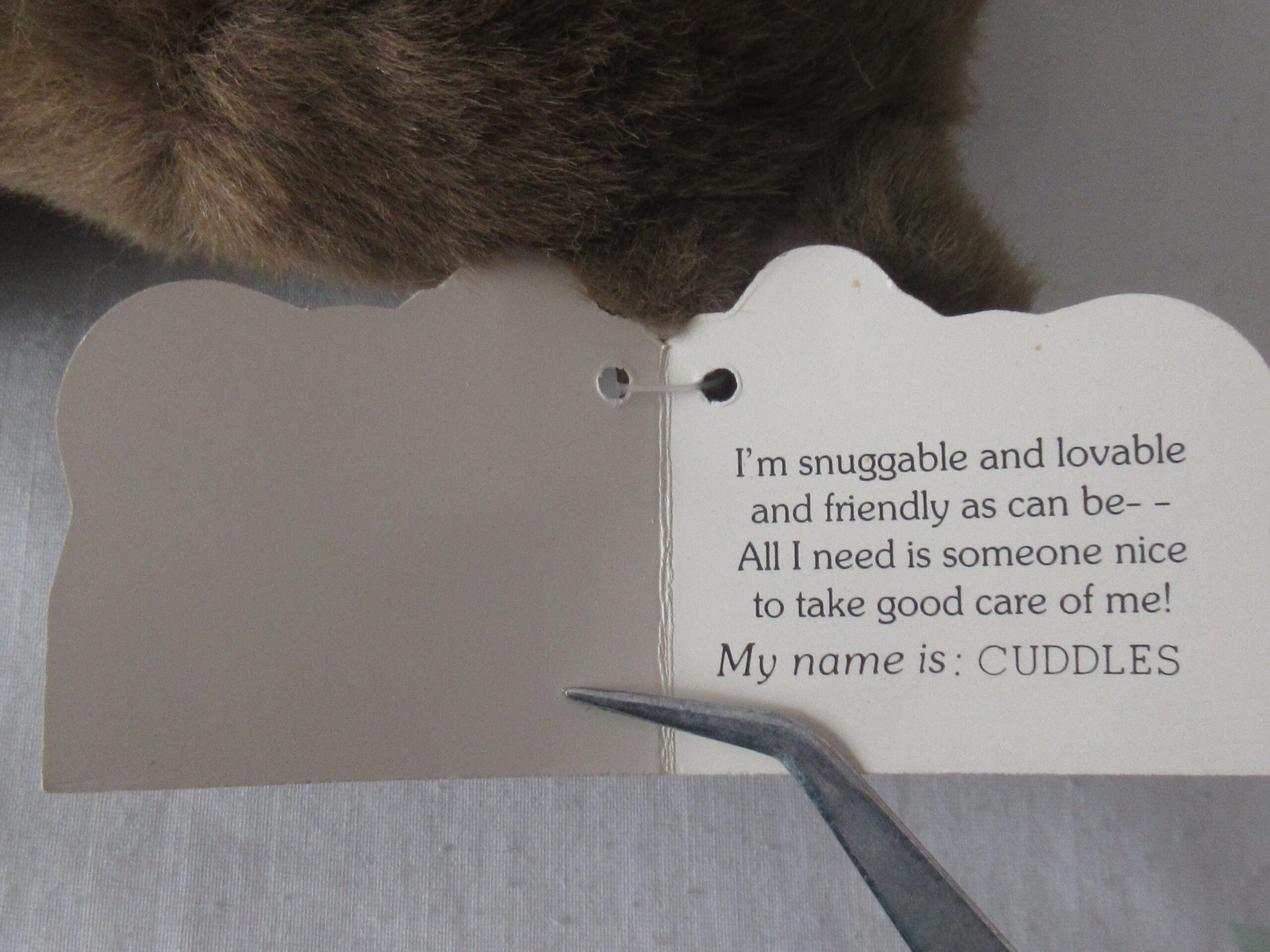 Lot of 2 Bears - Trudy Bear and Heartline Cuddles - Image 15