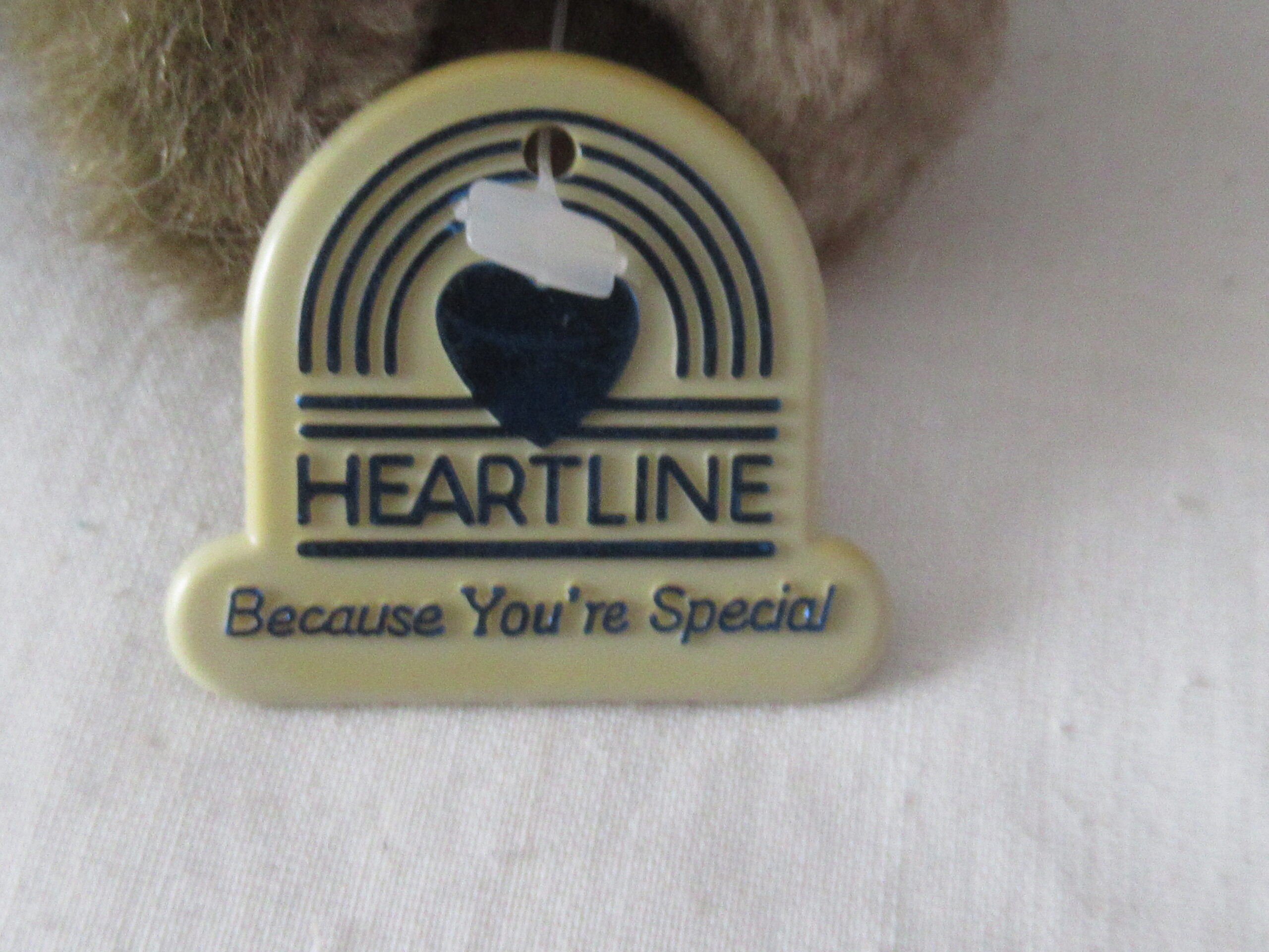 Lot of 2 Bears - Trudy Bear and Heartline Cuddles - Image 17