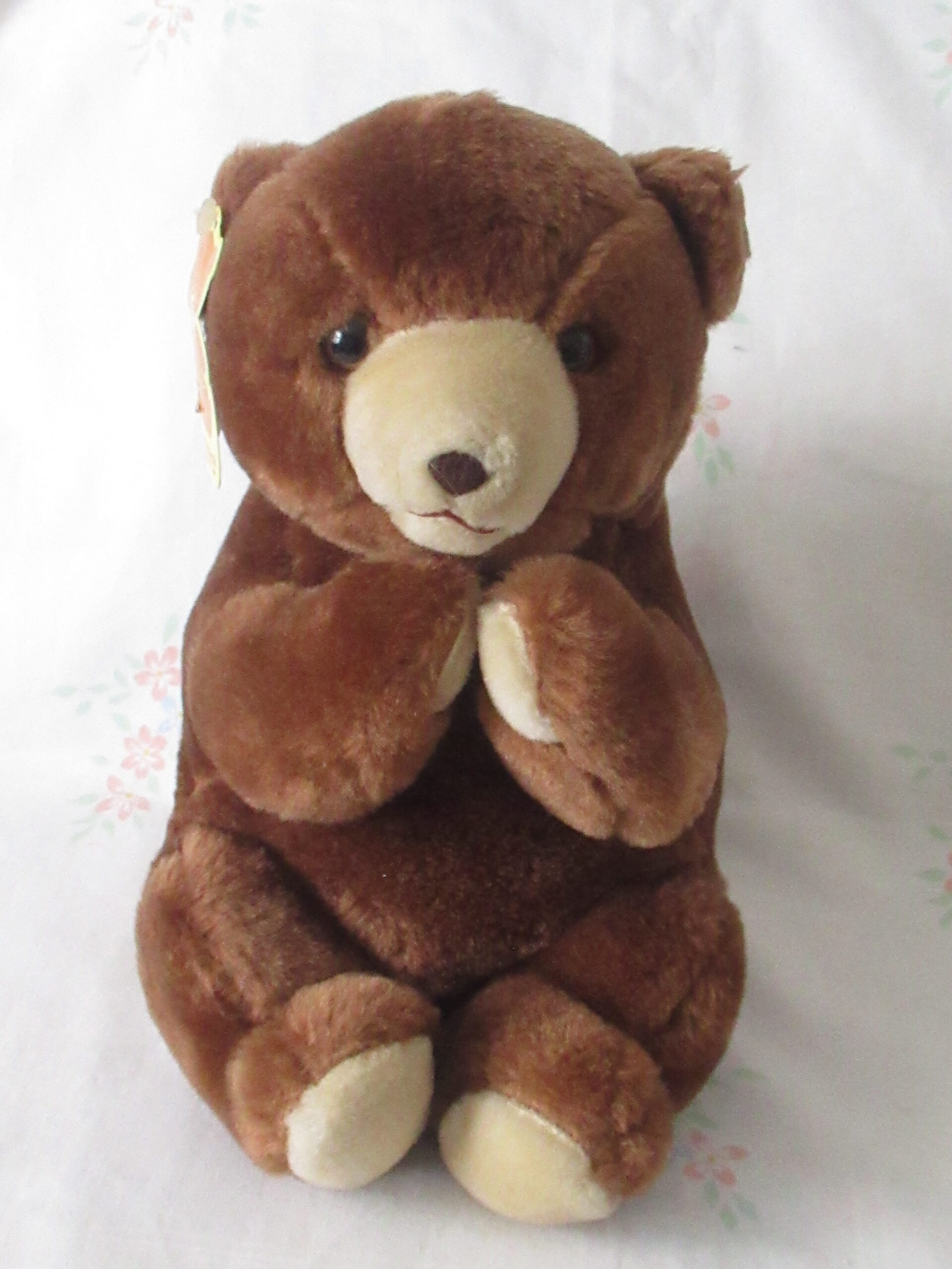 Lot of 2 Sitting Bears - Daisy Toys and Sun & Star - Image 2