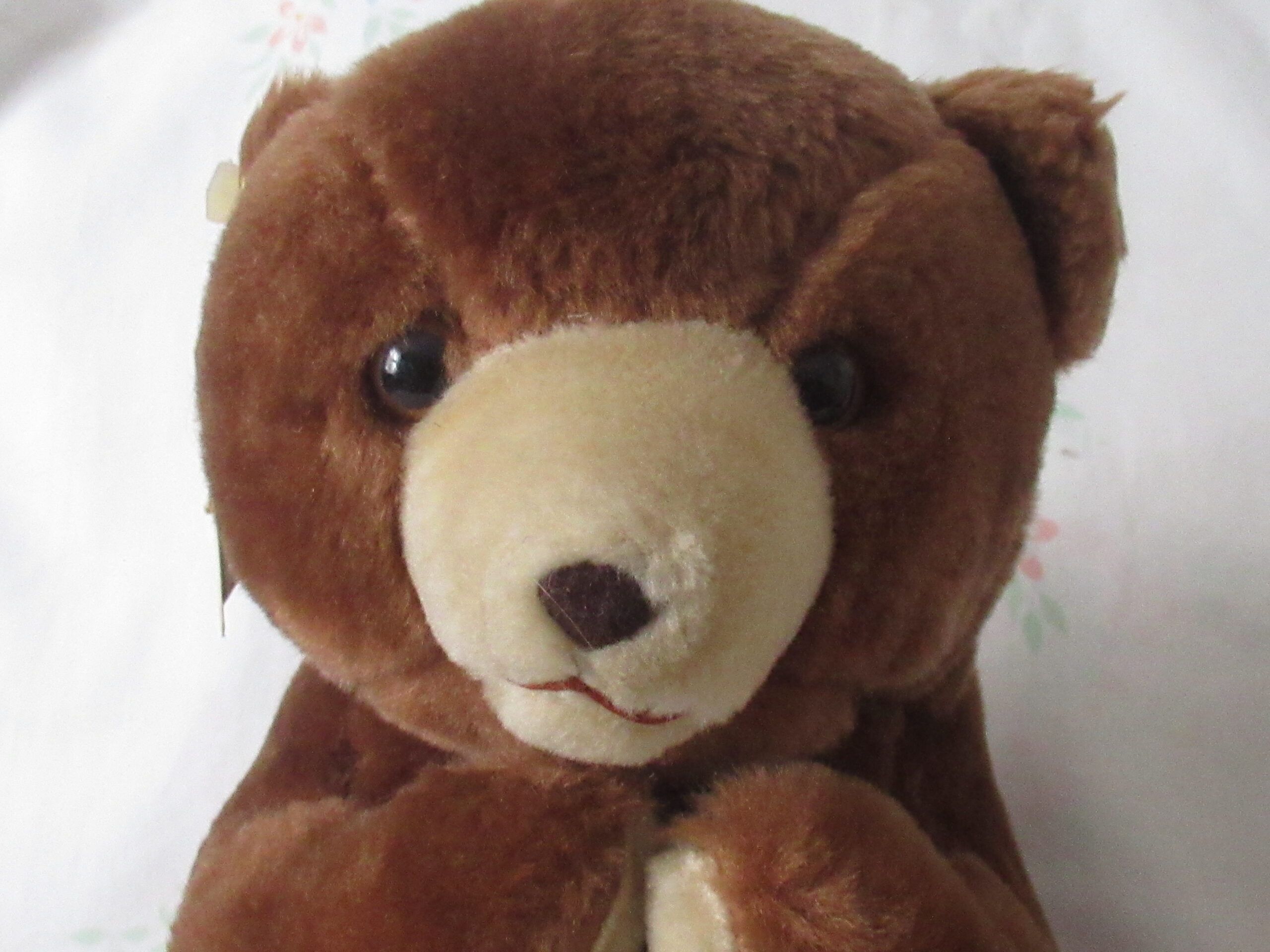 Lot of 2 Sitting Bears - Daisy Toys and Sun & Star - Image 3