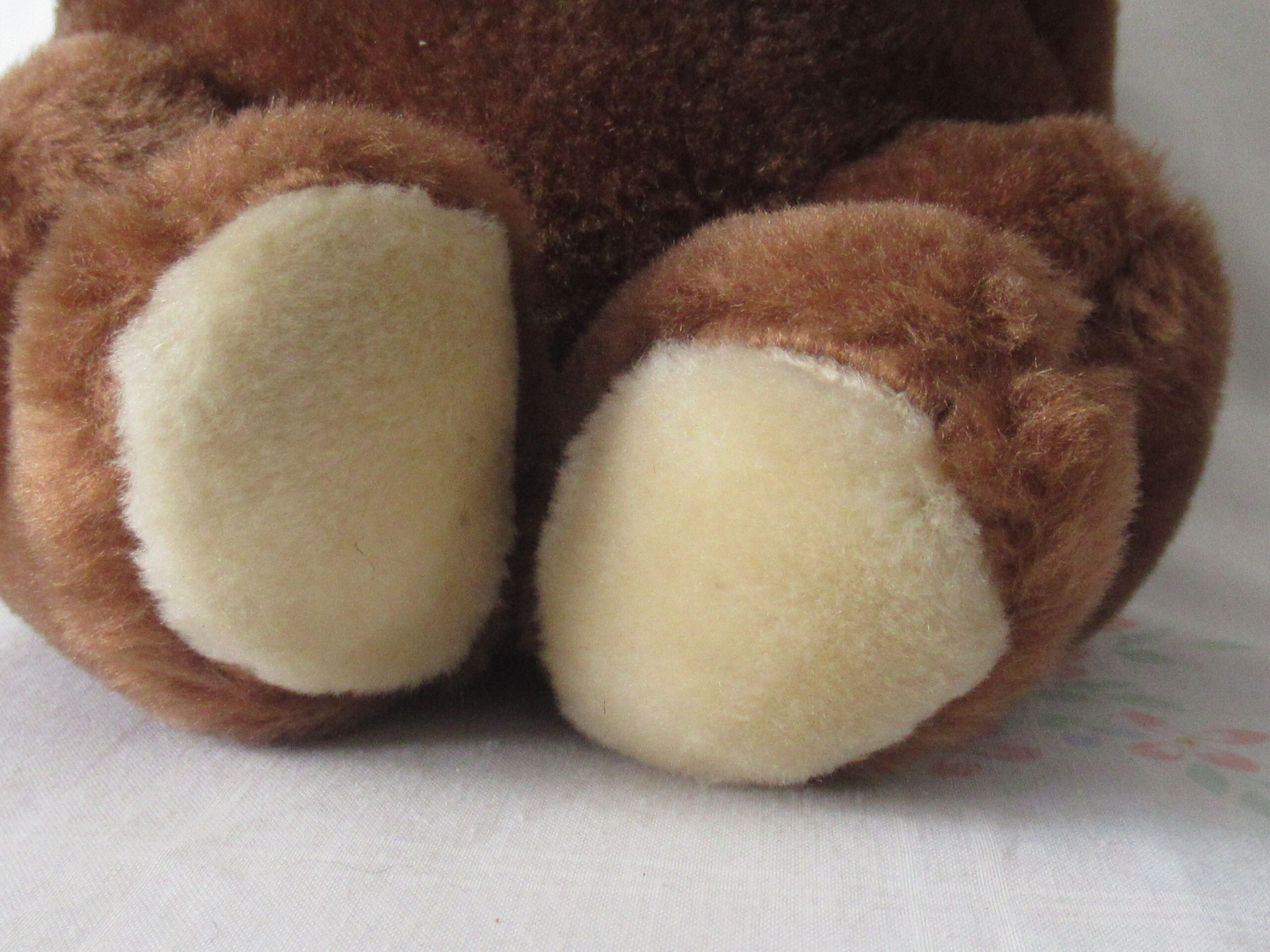 Lot of 2 Sitting Bears - Daisy Toys and Sun & Star - Image 4