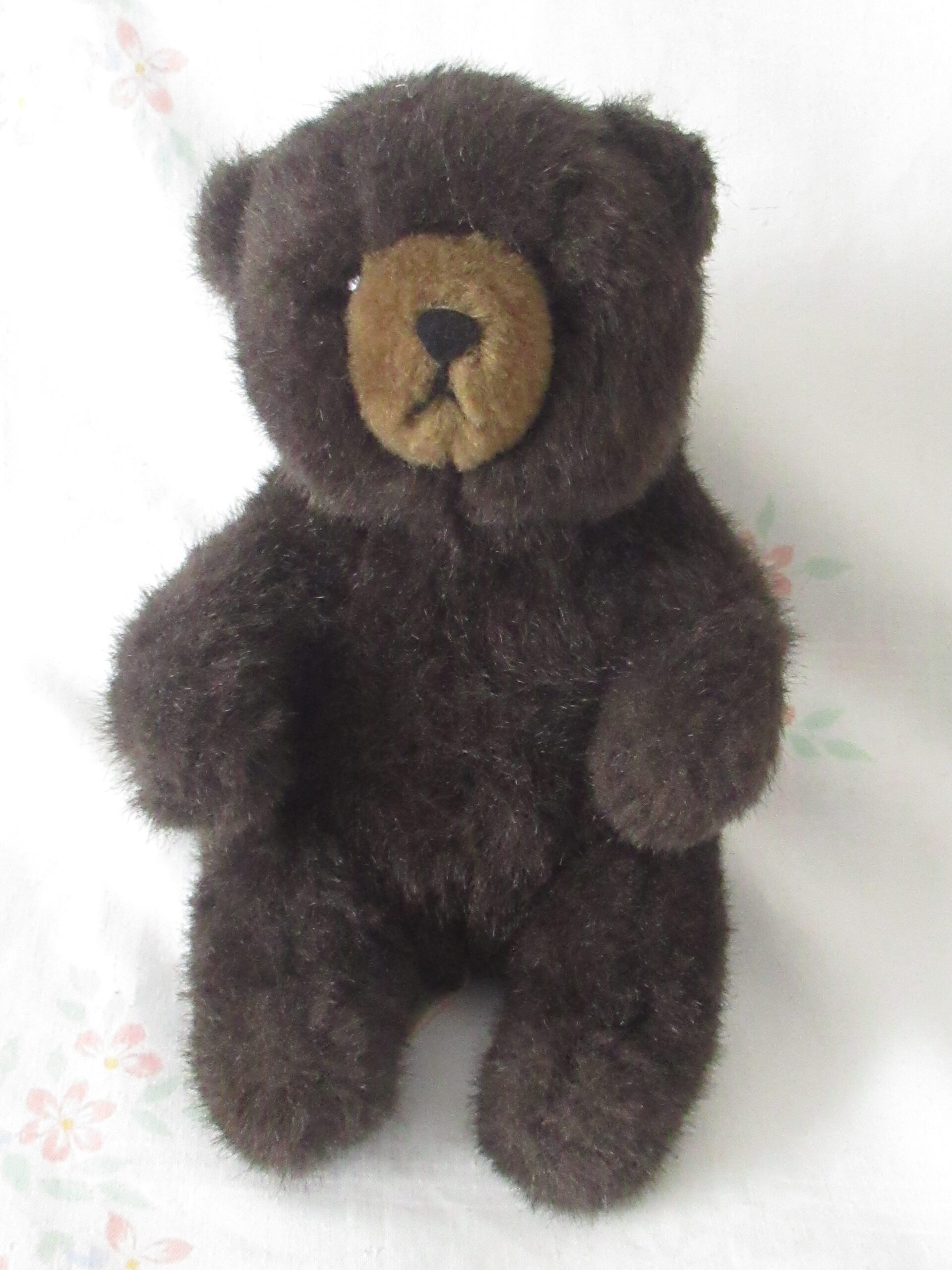 Lot of 2 Sitting Bears - Daisy Toys and Sun & Star - Image 10