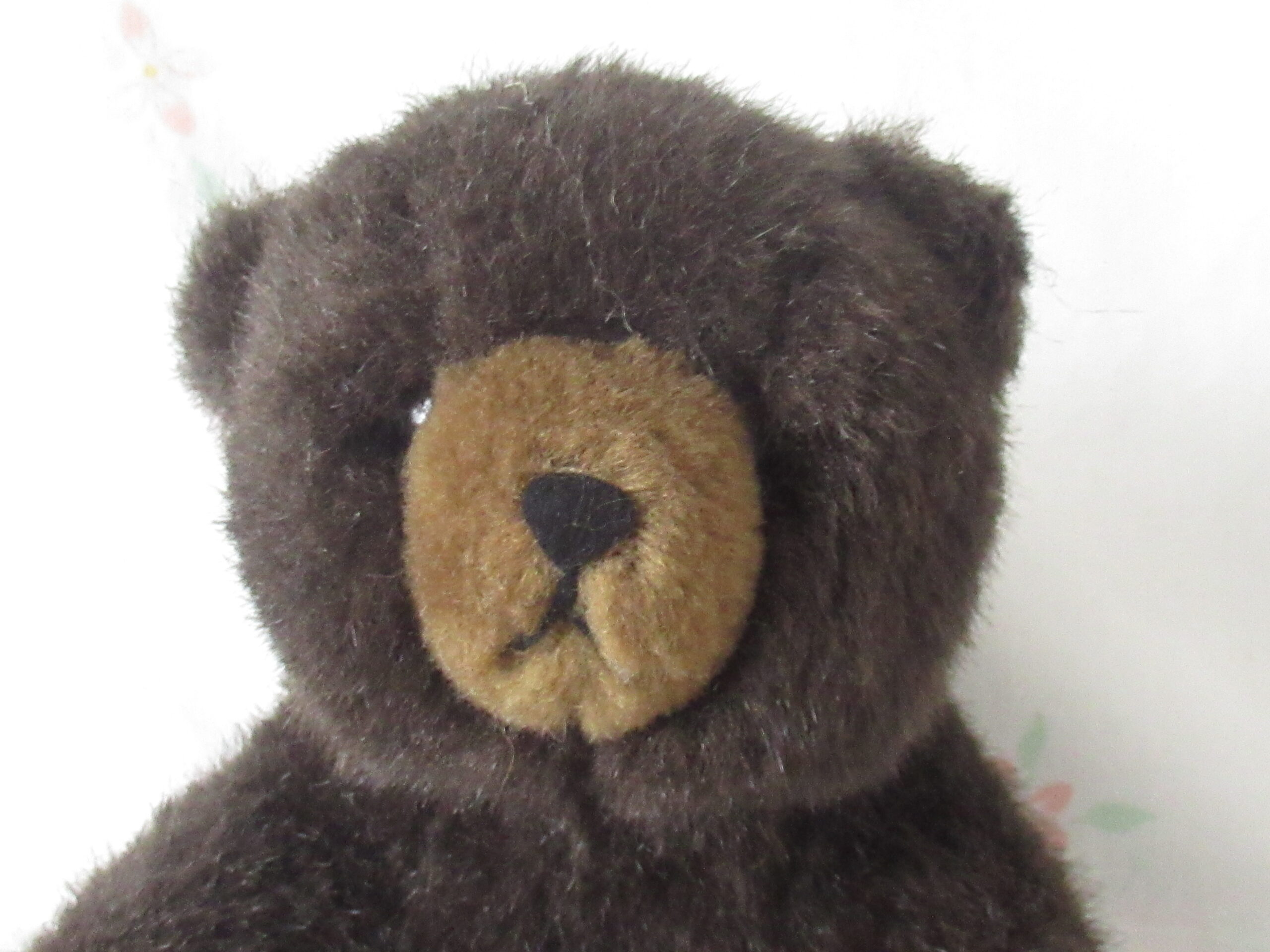 Lot of 2 Sitting Bears - Daisy Toys and Sun & Star - Image 11