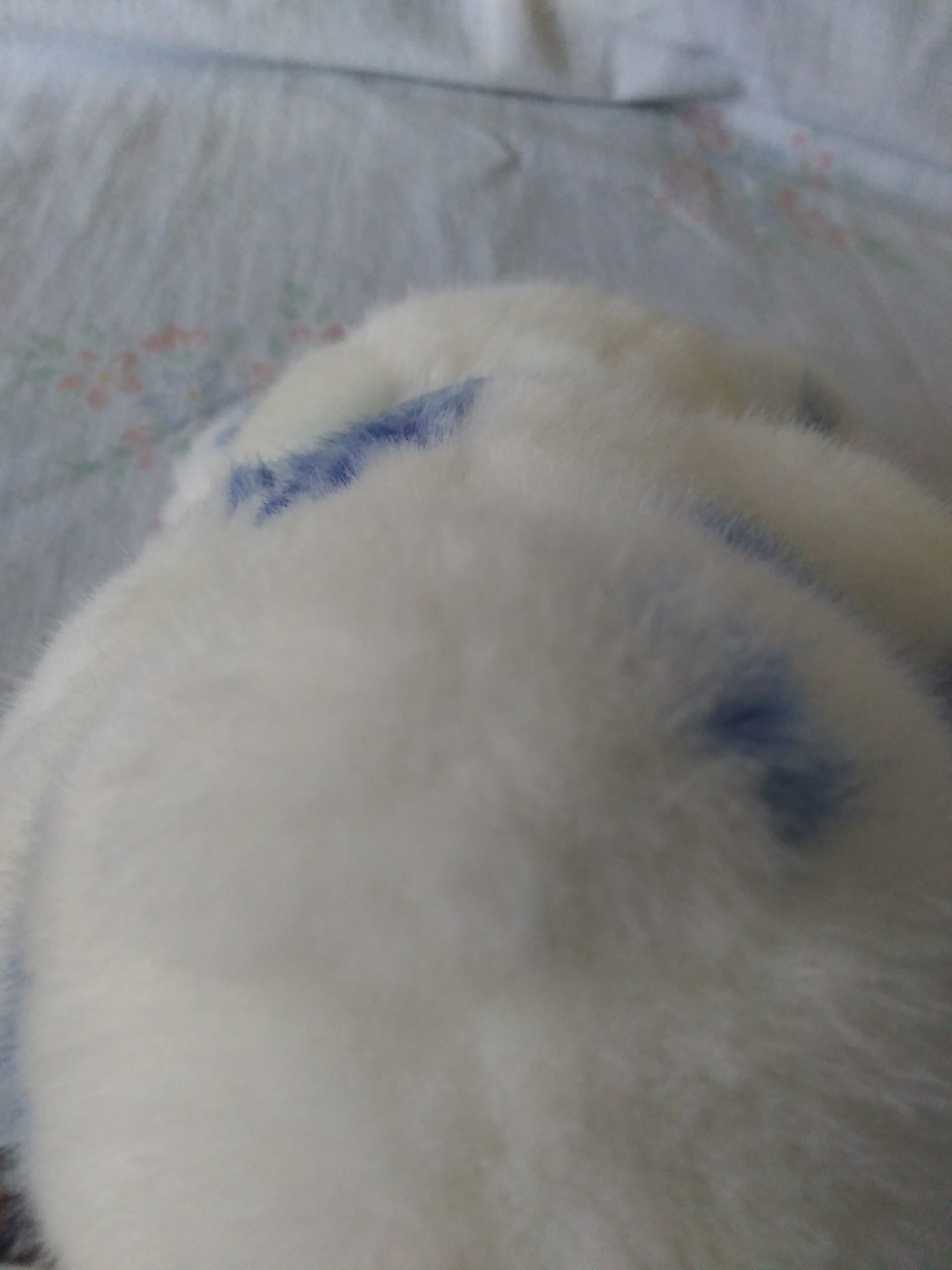 The Petting Zoo - 1994 - White Bear with Blue Snowflakes - Image 5