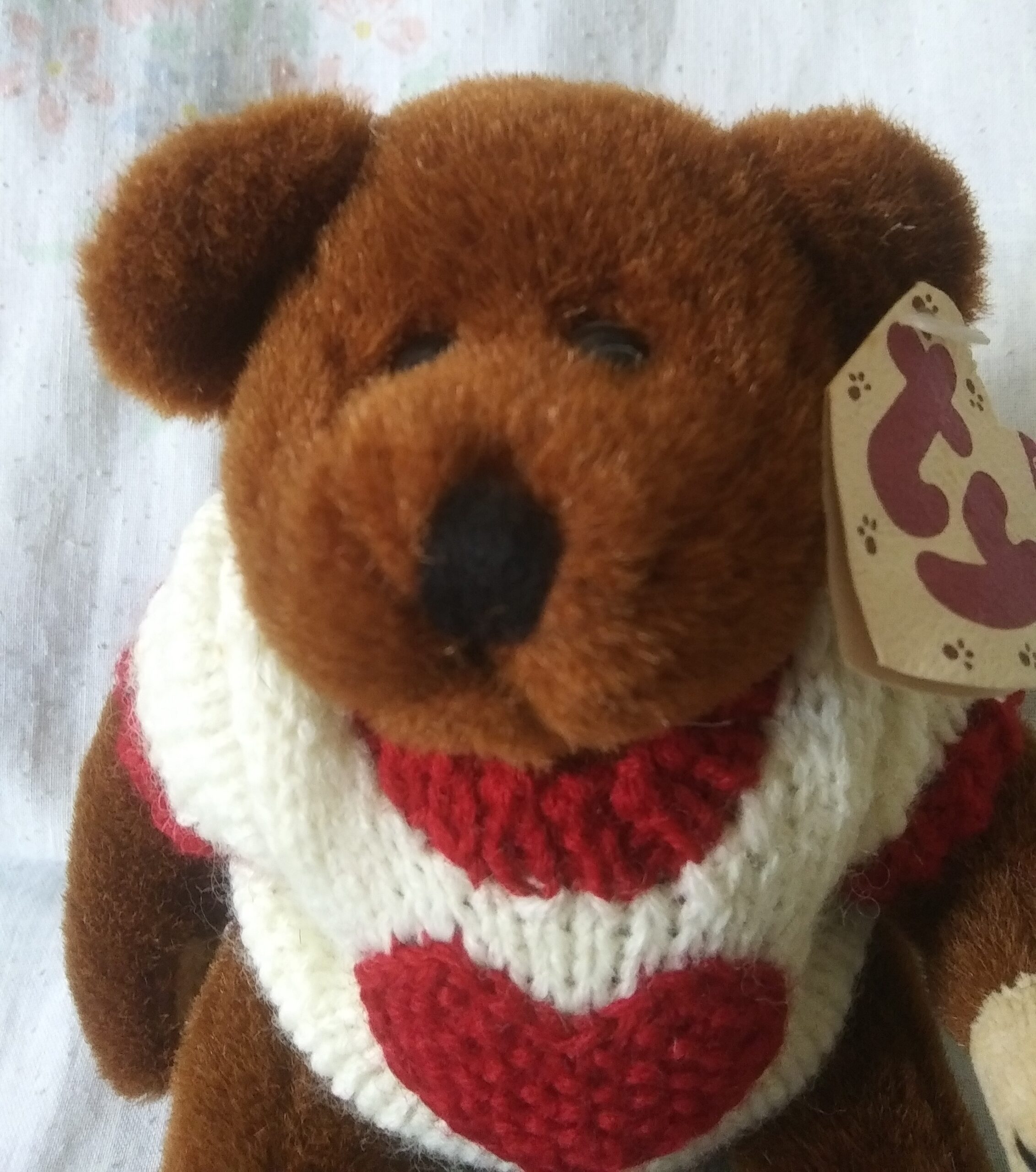Ty Bears - Casanova, Oscar, Checkers, Beargundy, Bluebeary - Image 4