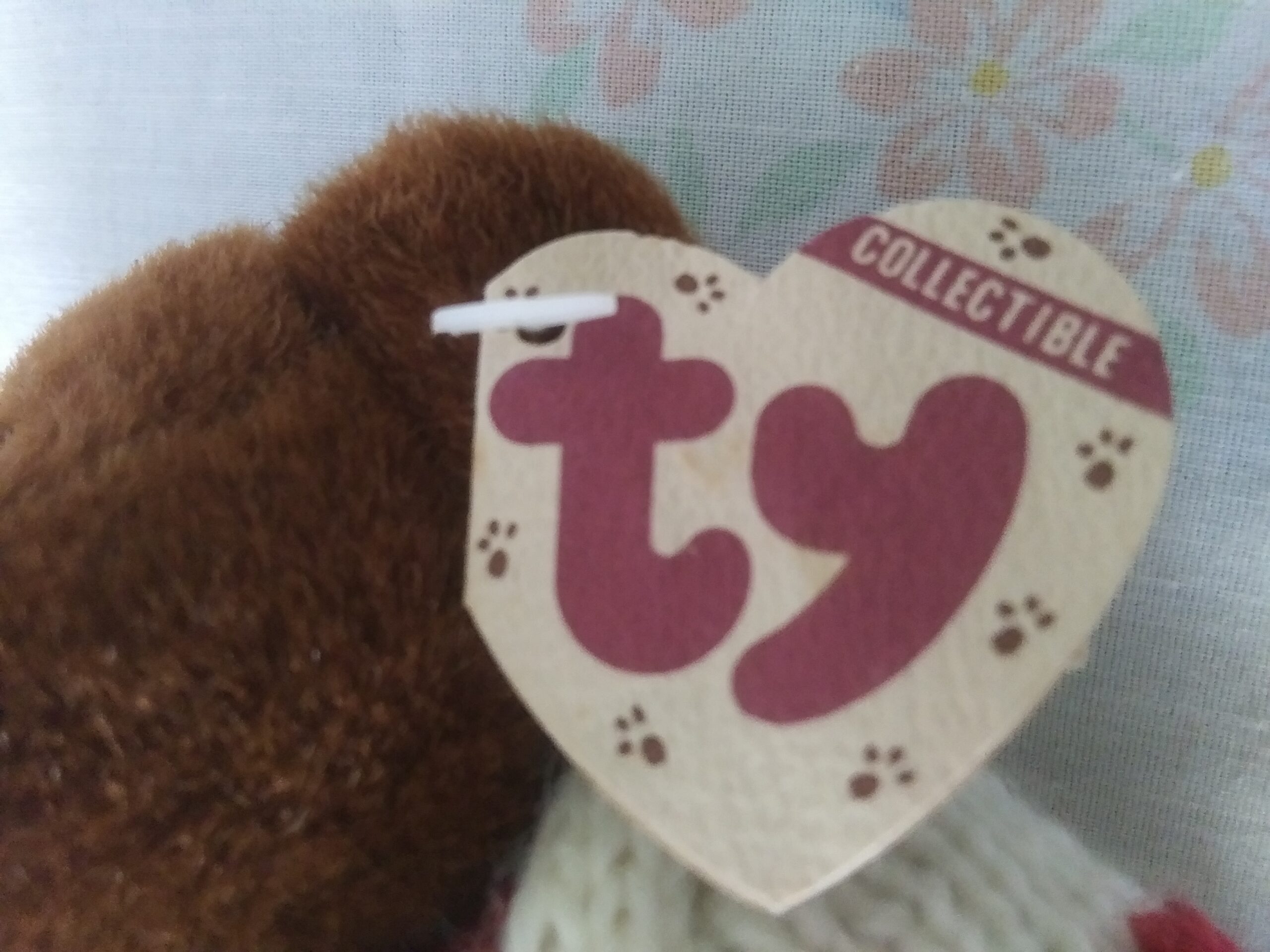Ty Bears - Casanova, Oscar, Checkers, Beargundy, Bluebeary - Image 7