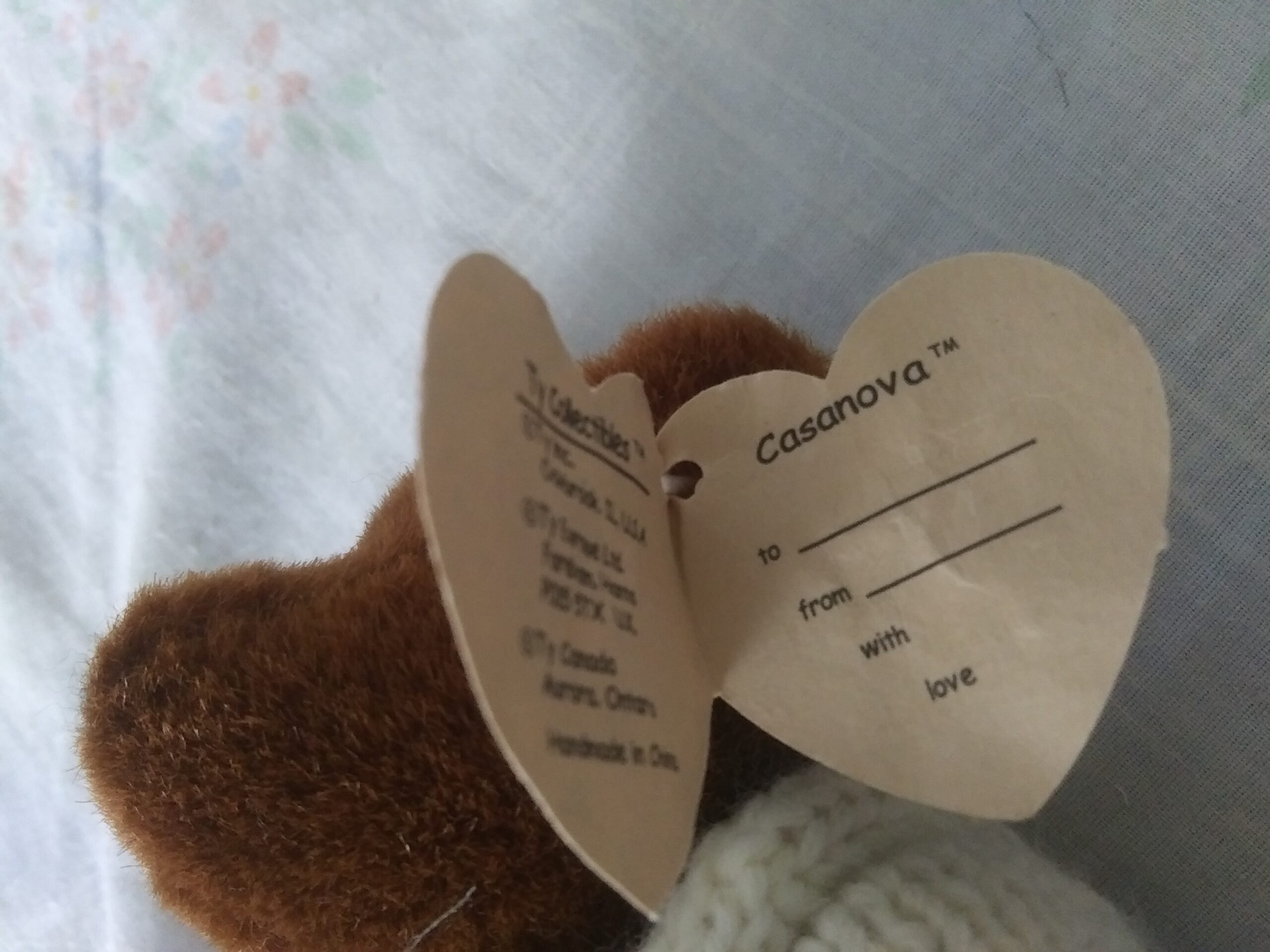 Ty Bears - Casanova, Oscar, Checkers, Beargundy, Bluebeary - Image 9