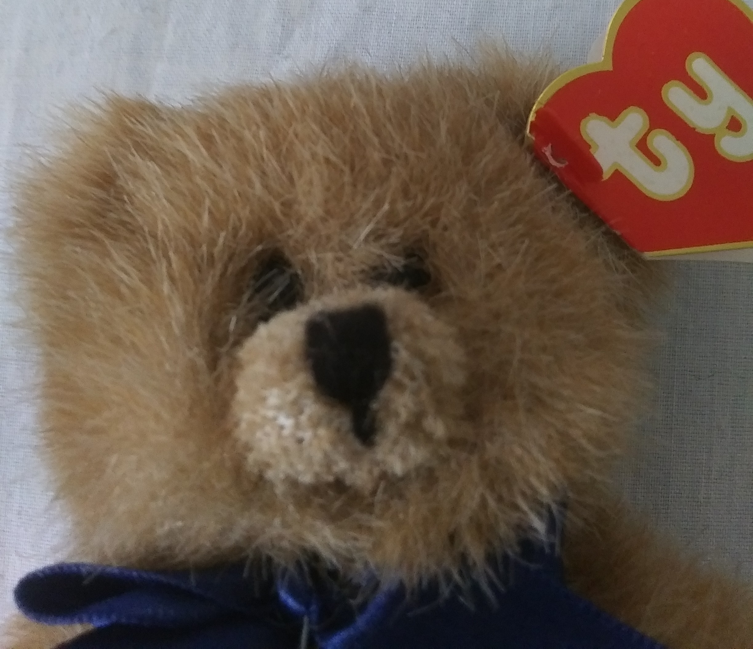 Ty Bears - Casanova, Oscar, Checkers, Beargundy, Bluebeary - Image 14