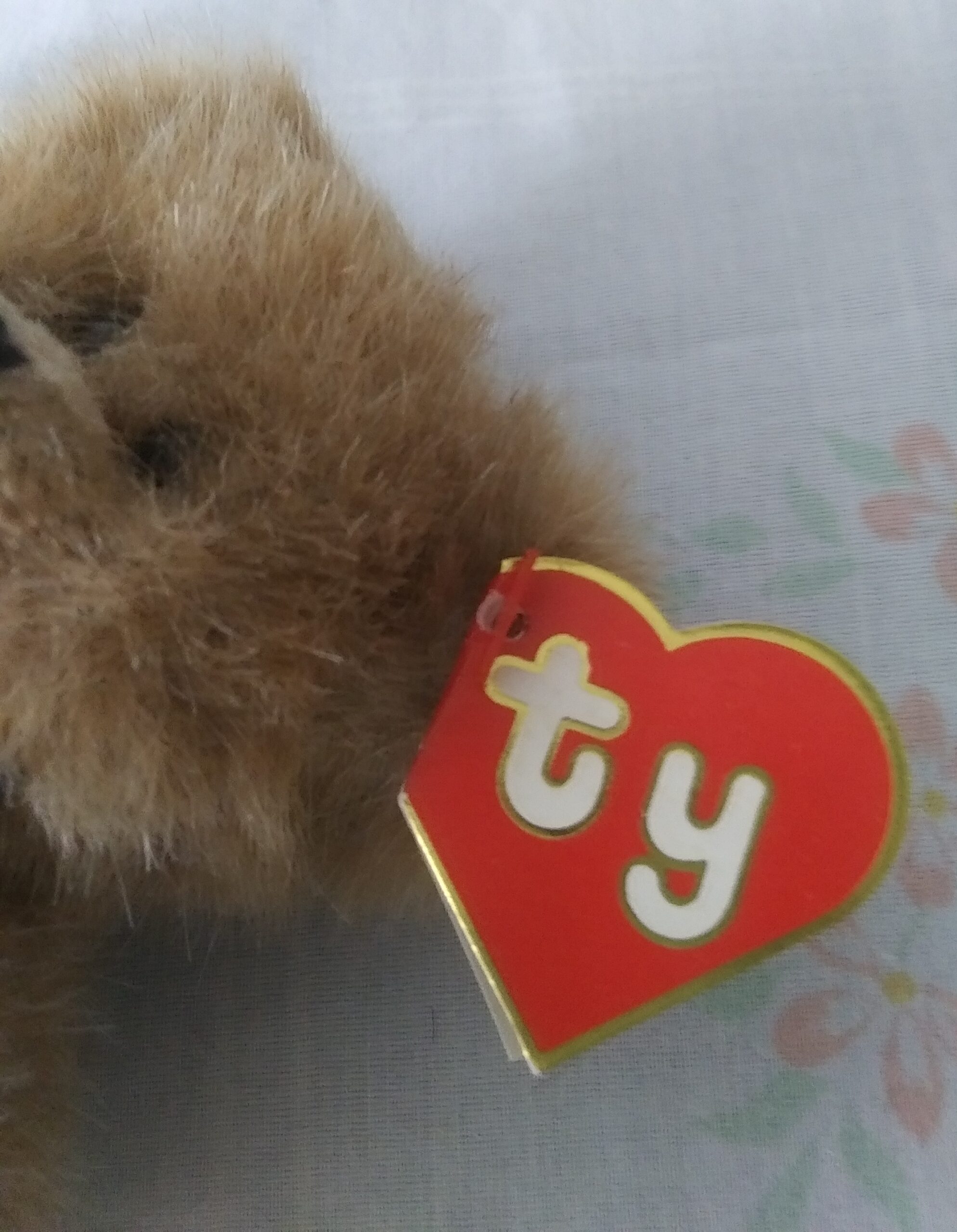 Ty Bears - Casanova, Oscar, Checkers, Beargundy, Bluebeary - Image 16