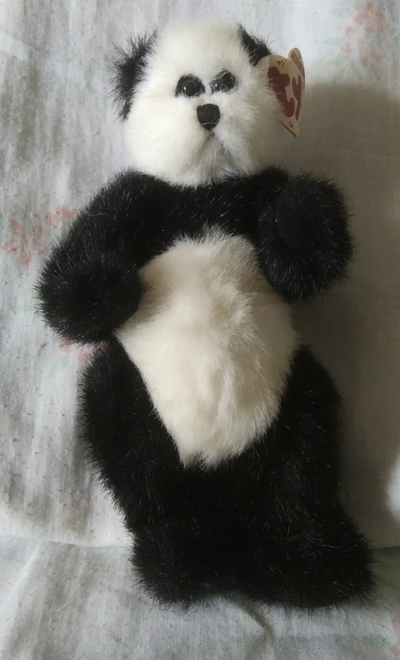 Ty Bears - Casanova, Oscar, Checkers, Beargundy, Bluebeary - Image 32