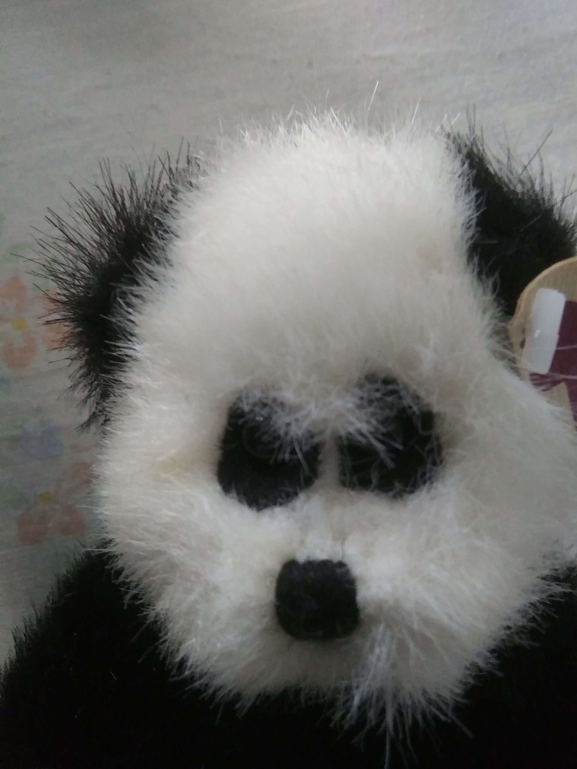 Ty Bears - Casanova, Oscar, Checkers, Beargundy, Bluebeary - Image 34