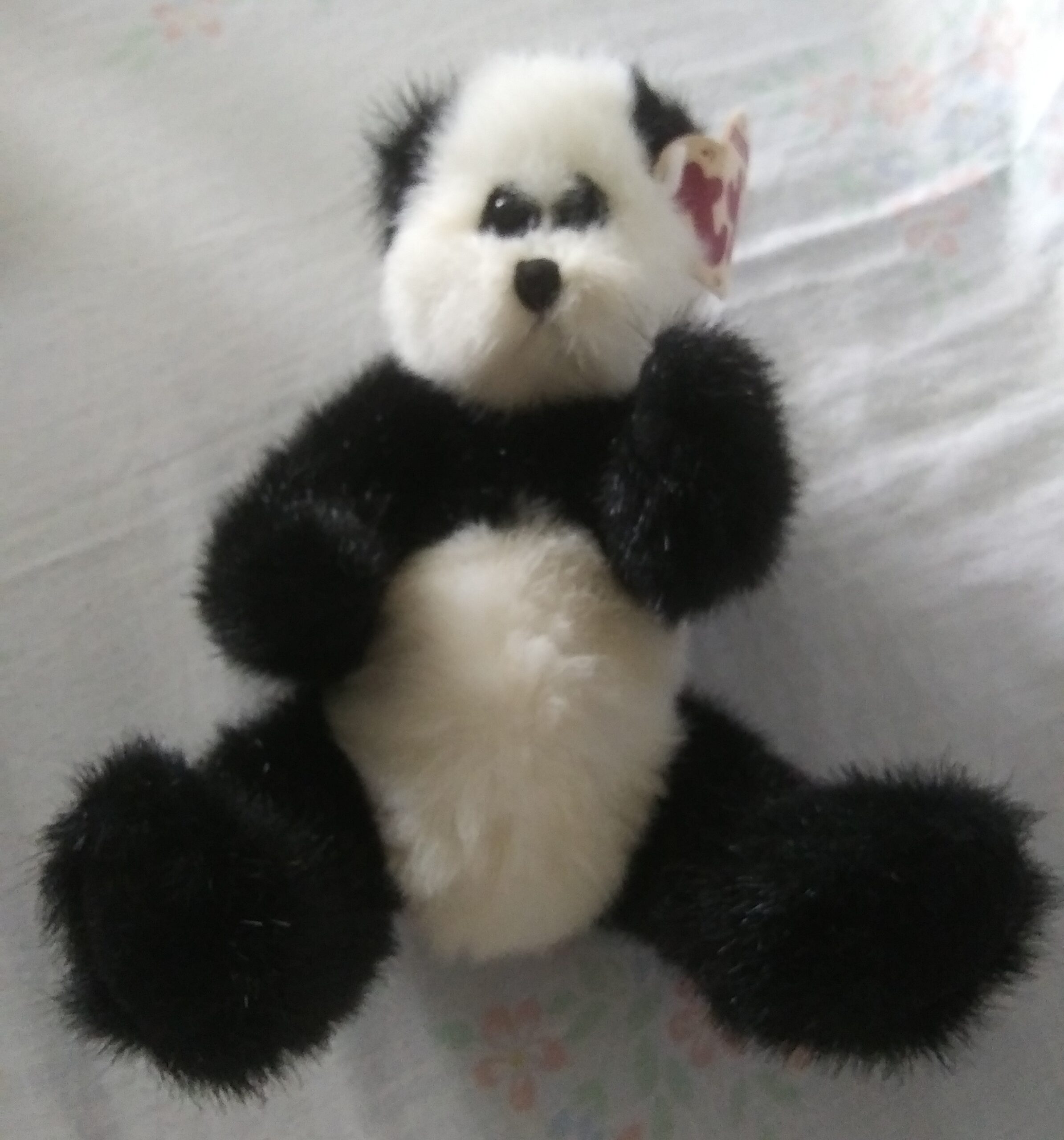 Ty Bears - Casanova, Oscar, Checkers, Beargundy, Bluebeary - Image 35