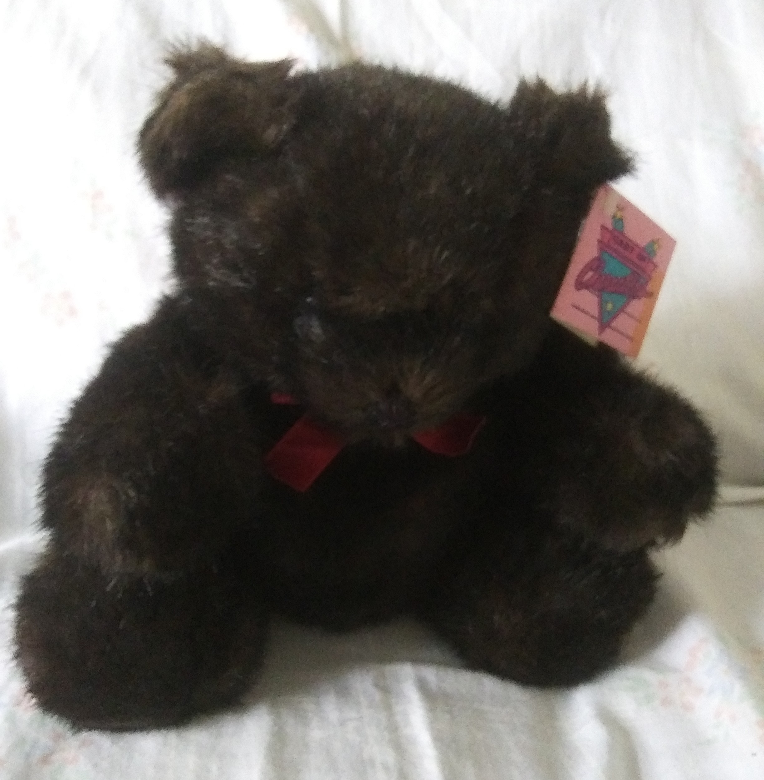 Embrace Teddy Bear