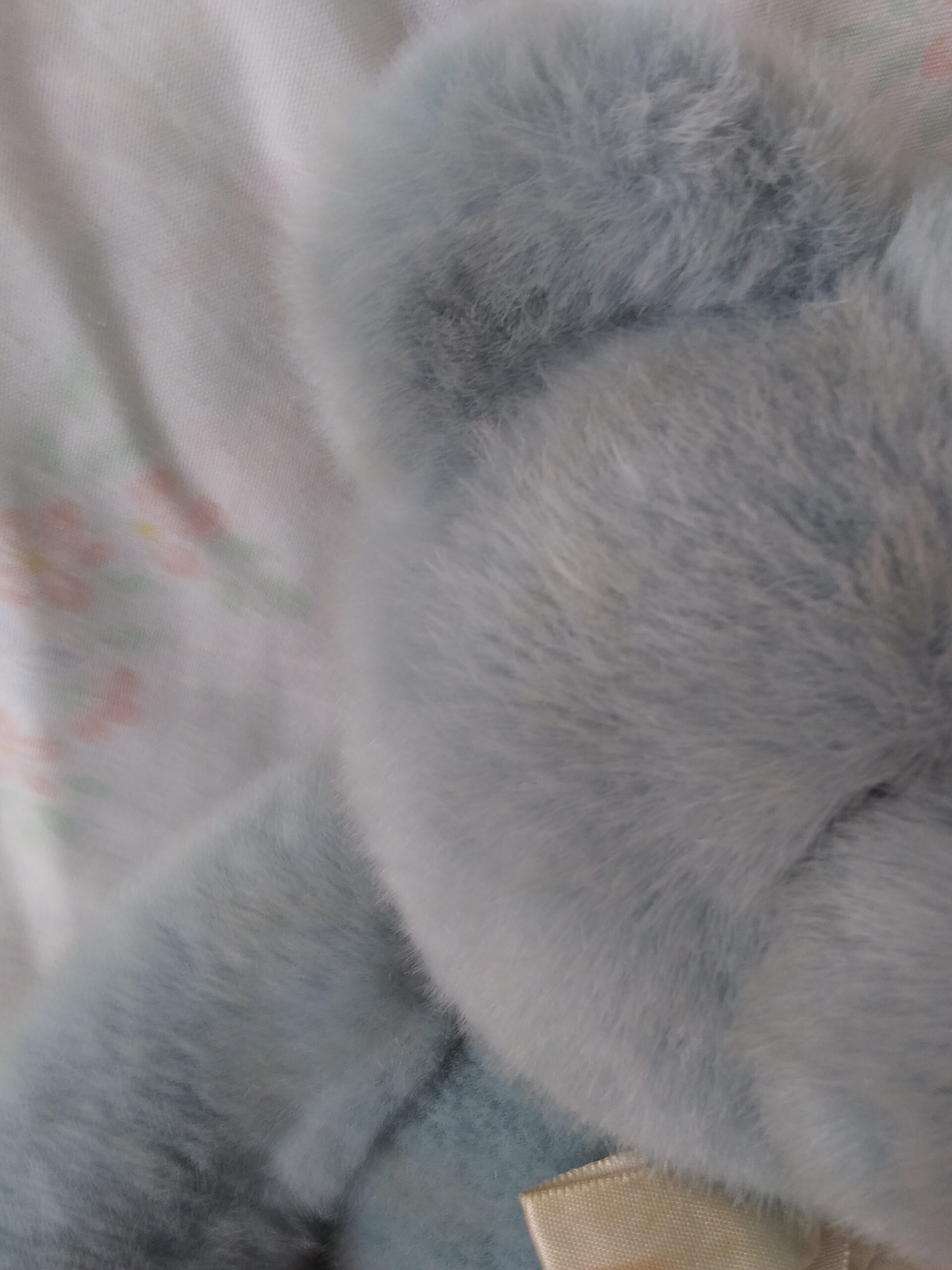 Dakin 1989 - Dusty Teal Bear- Item #31-8630 - Image 6