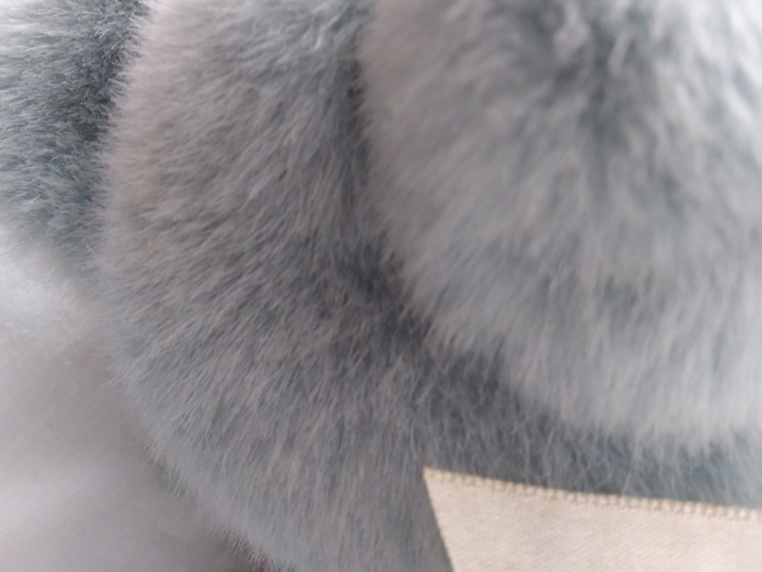Dakin 1989 - Dusty Teal Bear- Item #31-8630 - Image 8
