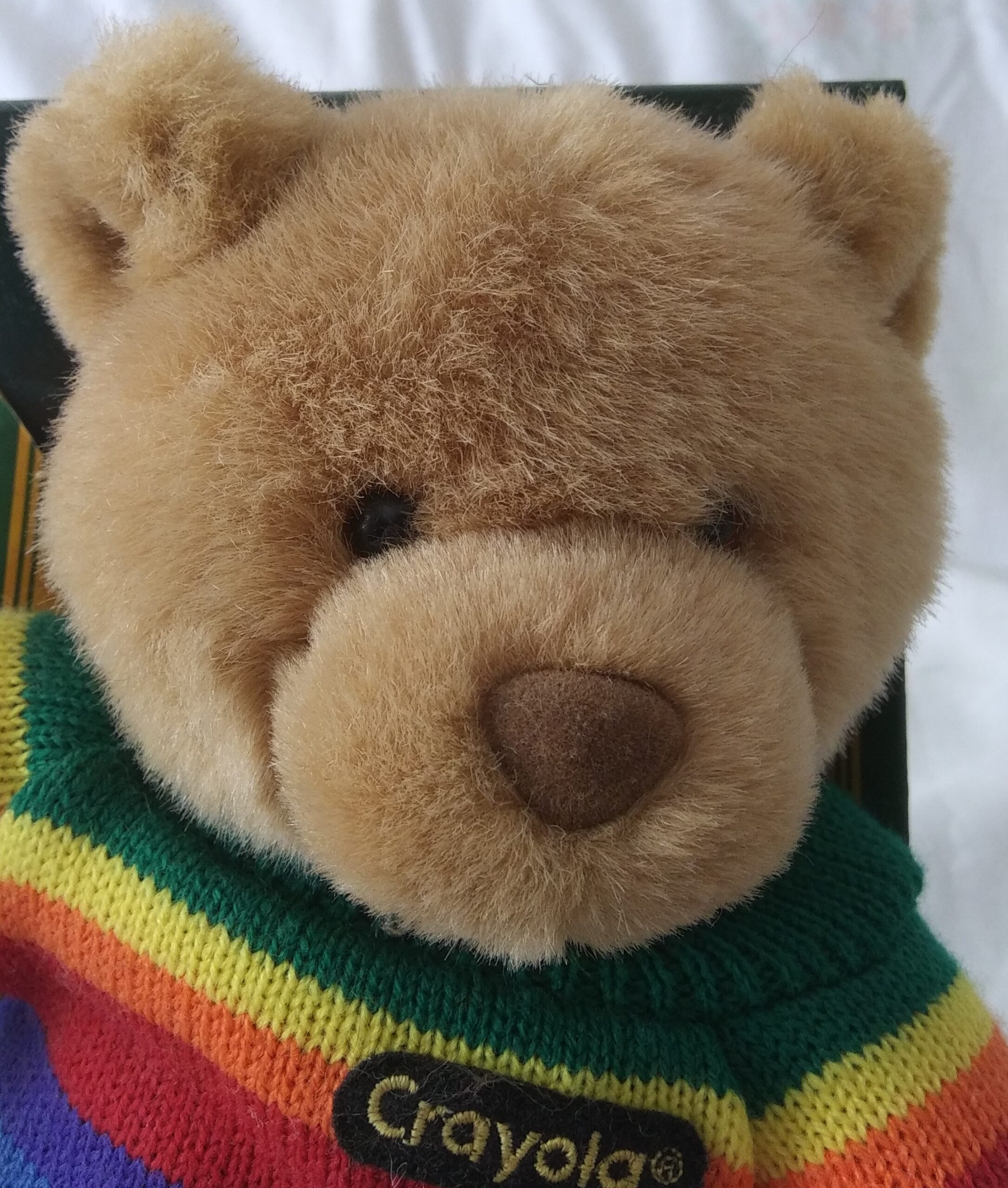 Gund, Inc - Crayola Kids Sweater Bear - Style #8026 - Image 2