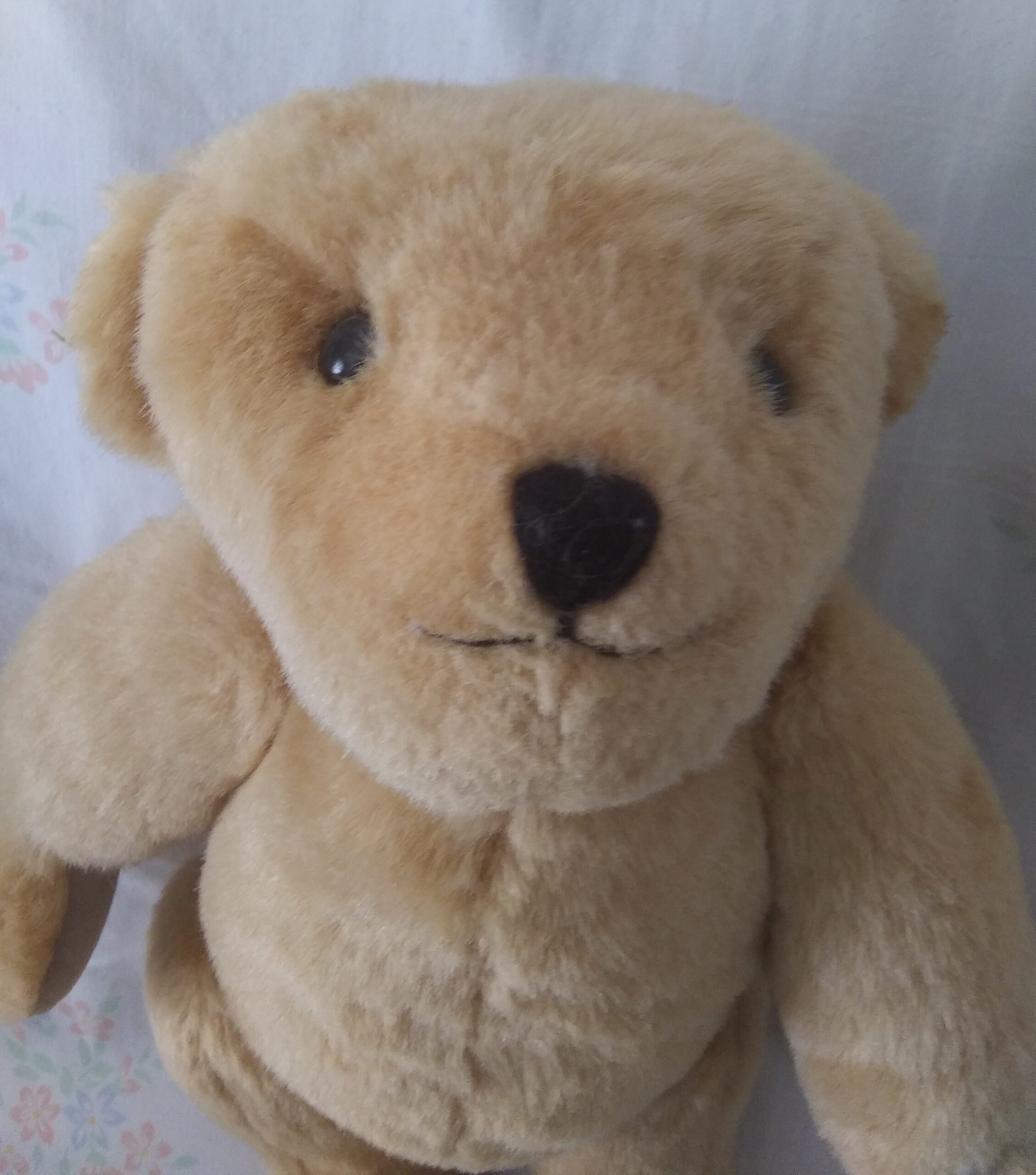 Pleasant Company - 16 Inch Fully Jointed Teddy Bear - Image 2
