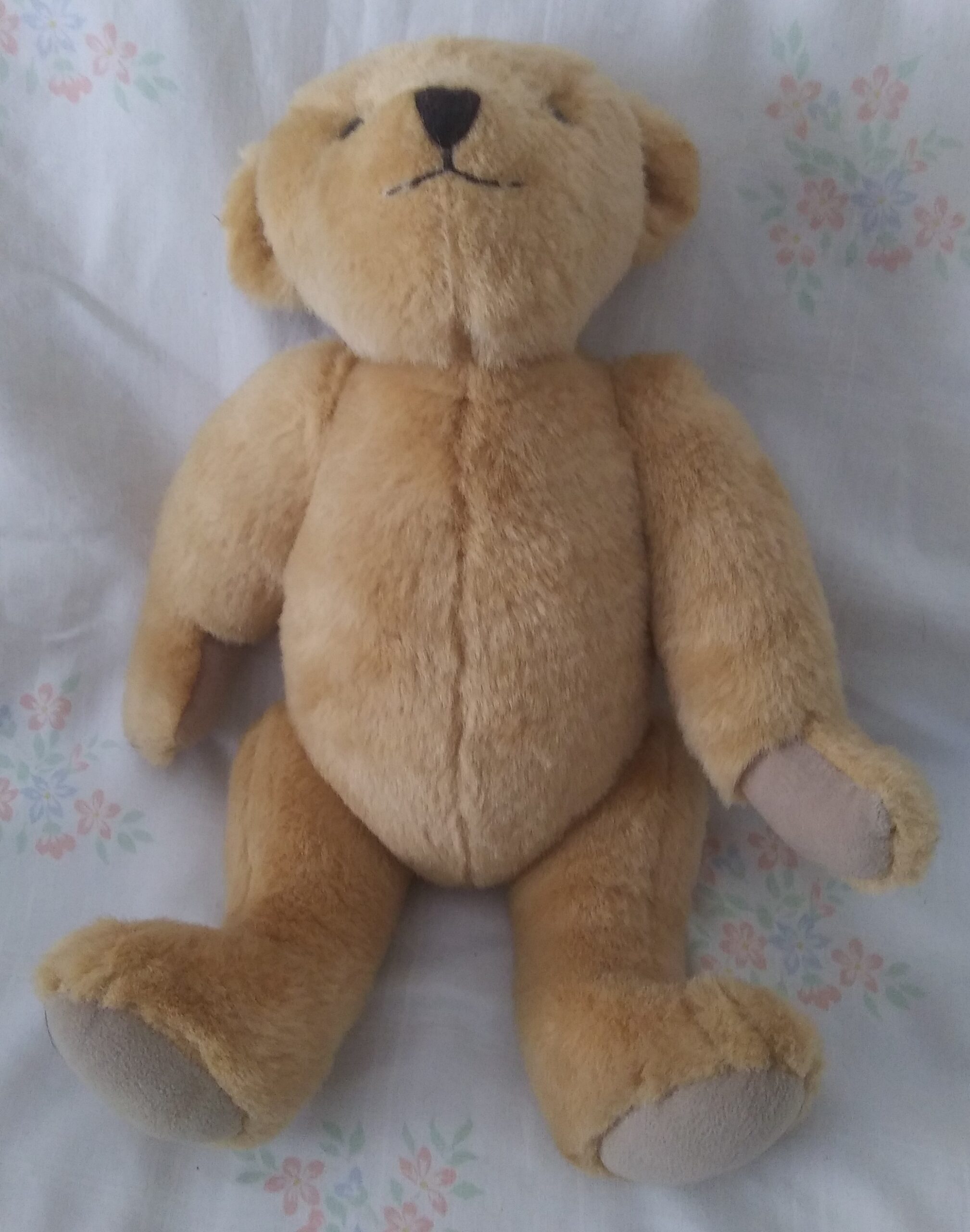 Pleasant Company - 16 Inch Fully Jointed Teddy Bear - Image 4