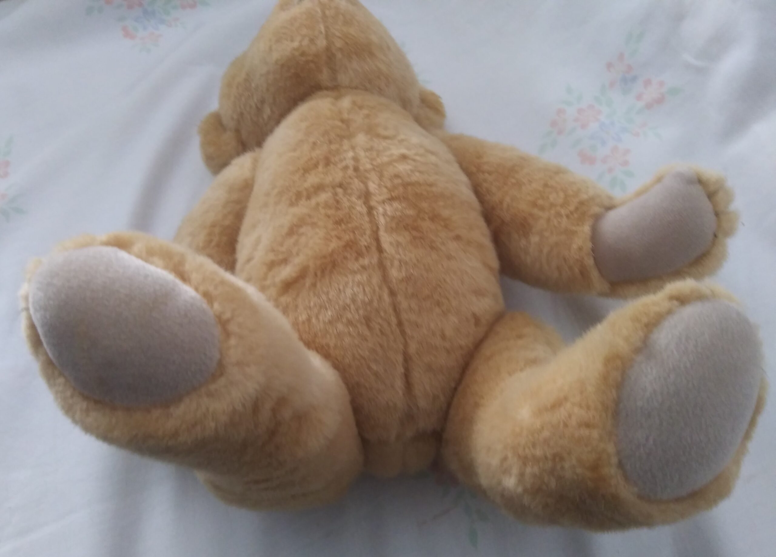 Pleasant Company - 16 Inch Fully Jointed Teddy Bear - Image 5