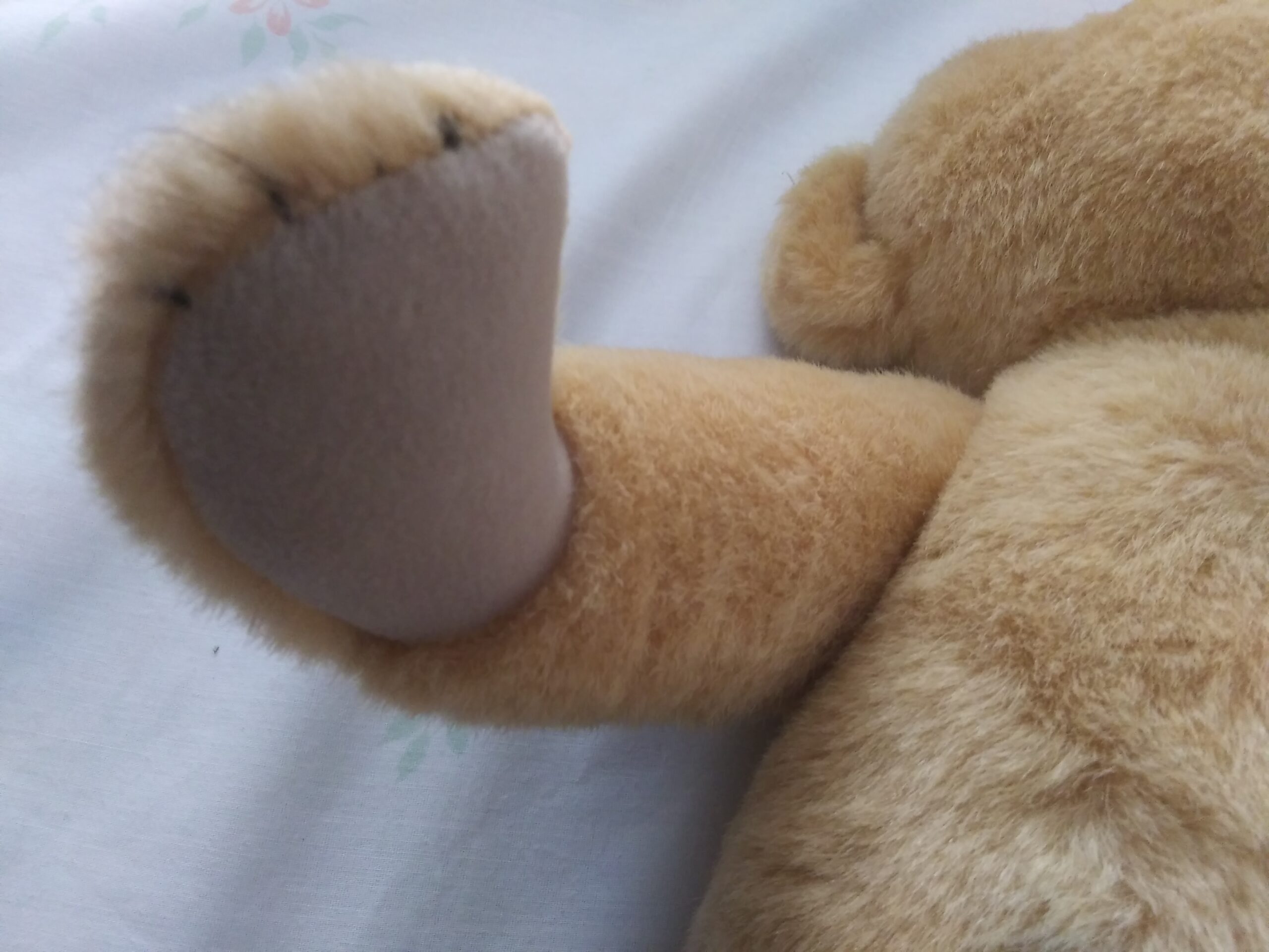 Pleasant Company - 16 Inch Fully Jointed Teddy Bear - Image 6
