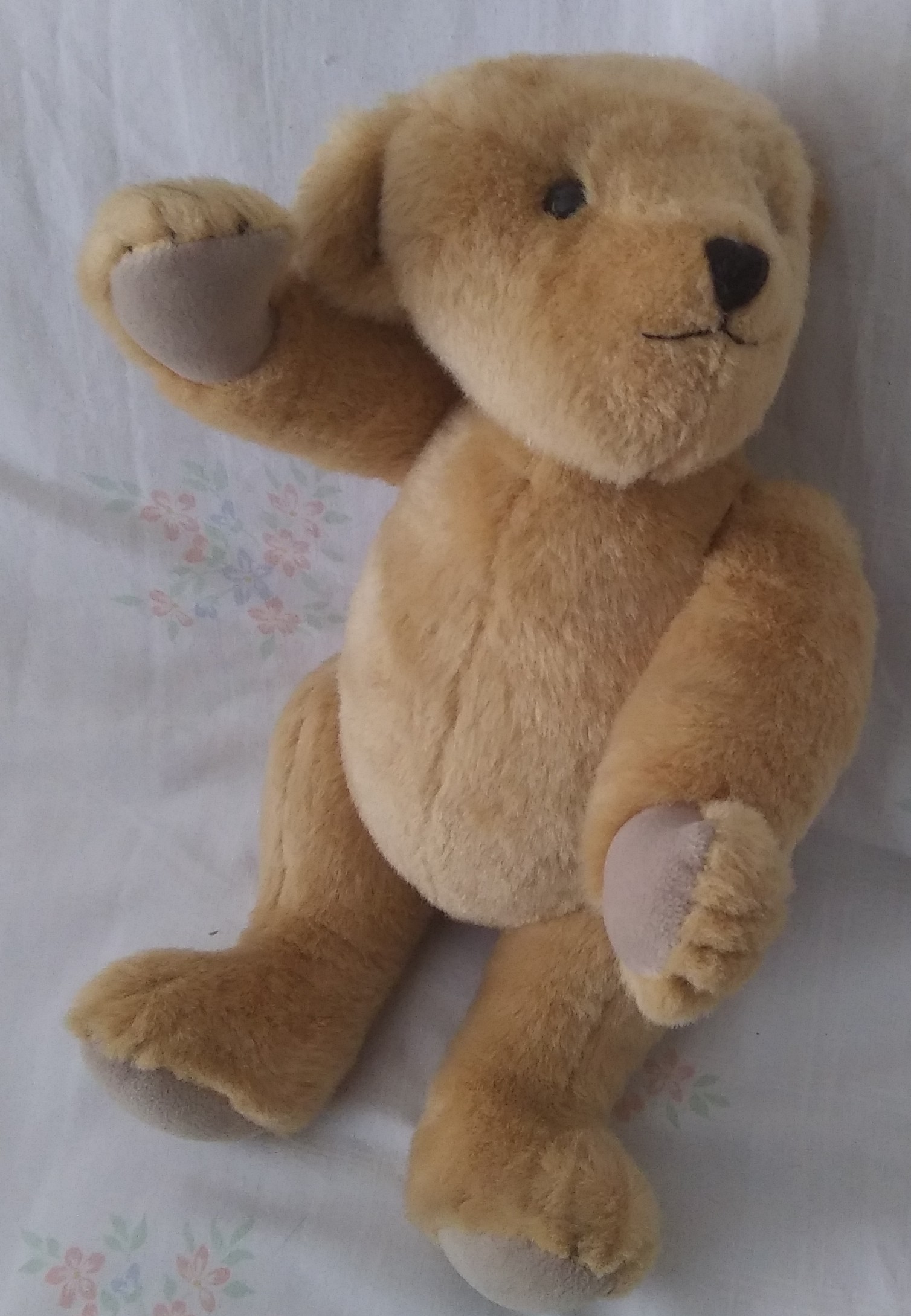 Pleasant Company - 16 Inch Fully Jointed Teddy Bear - Image 8