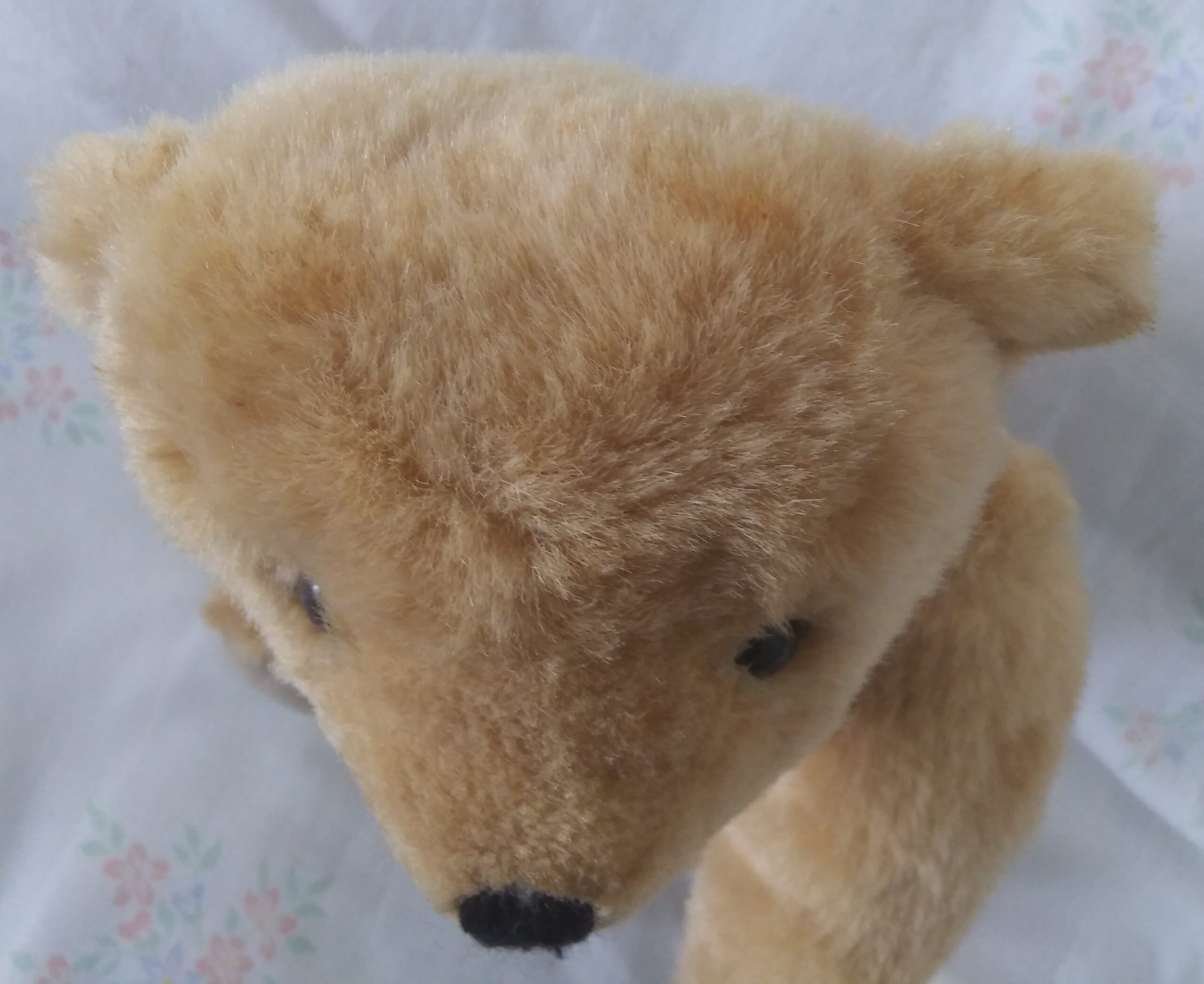 Pleasant Company - 16 Inch Fully Jointed Teddy Bear - Image 9