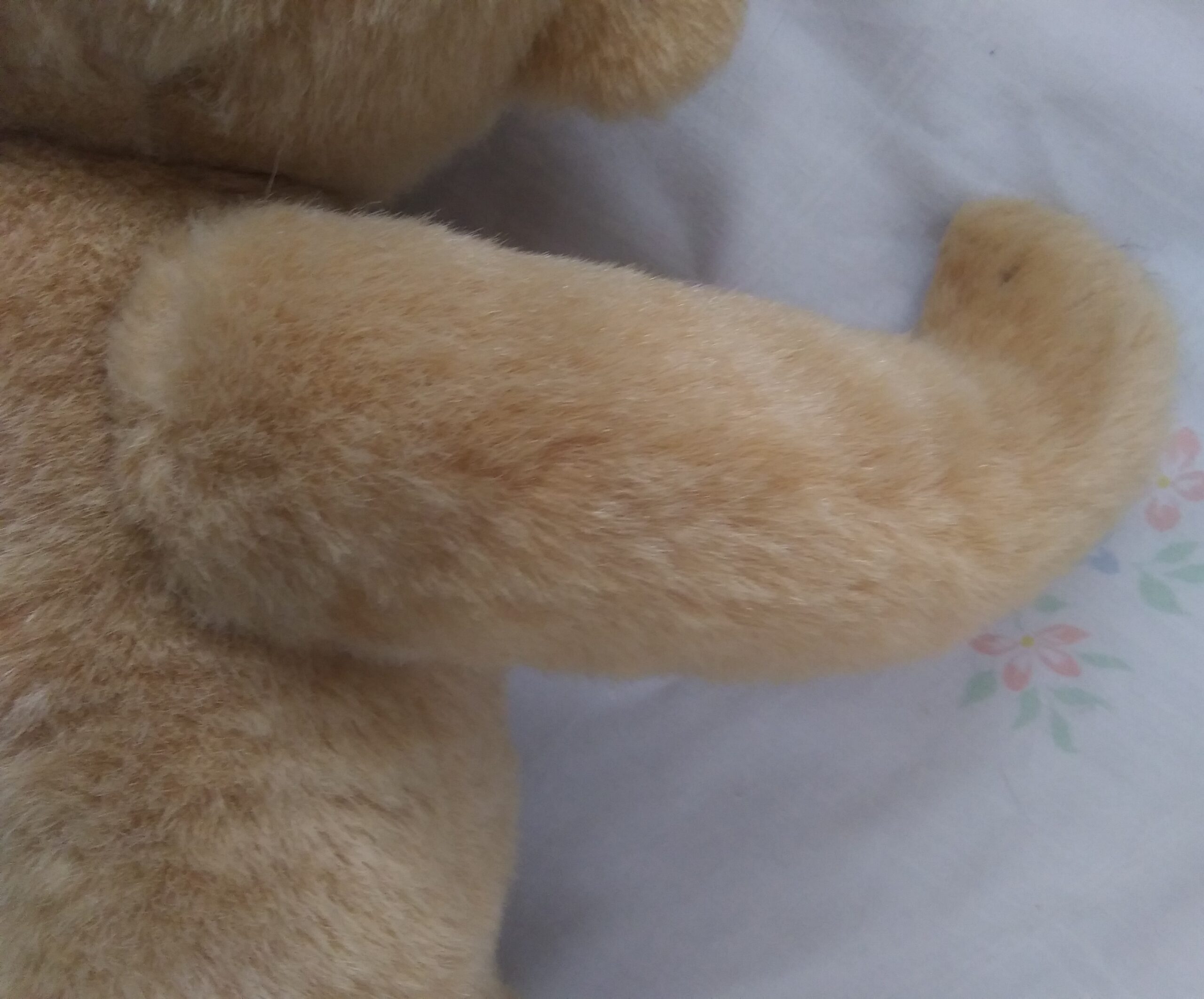 Pleasant Company - 16 Inch Fully Jointed Teddy Bear - Image 11